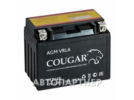 COUGAR AGM VRLA 12В 6ст 12 а/ч пп YT12B-BS